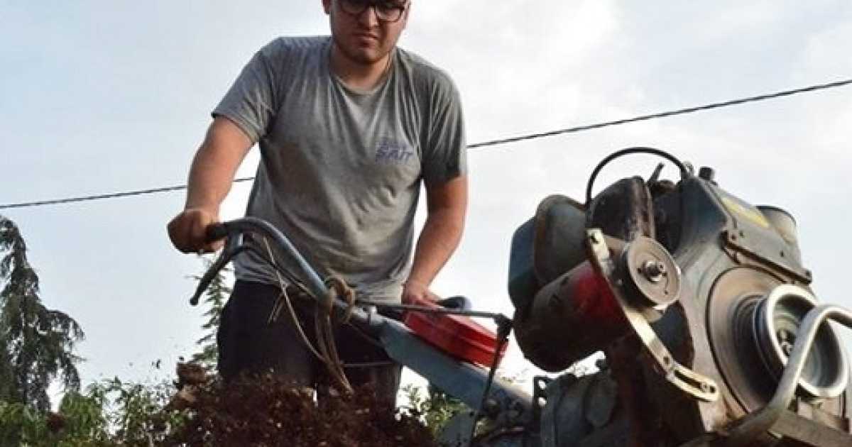Il lavoro non c'�? I giovani laureati vanno a zappare la terra